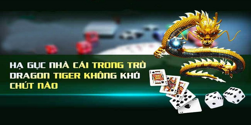 Công thức chơi rồng hổ